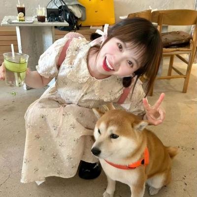 日落之前爱上你