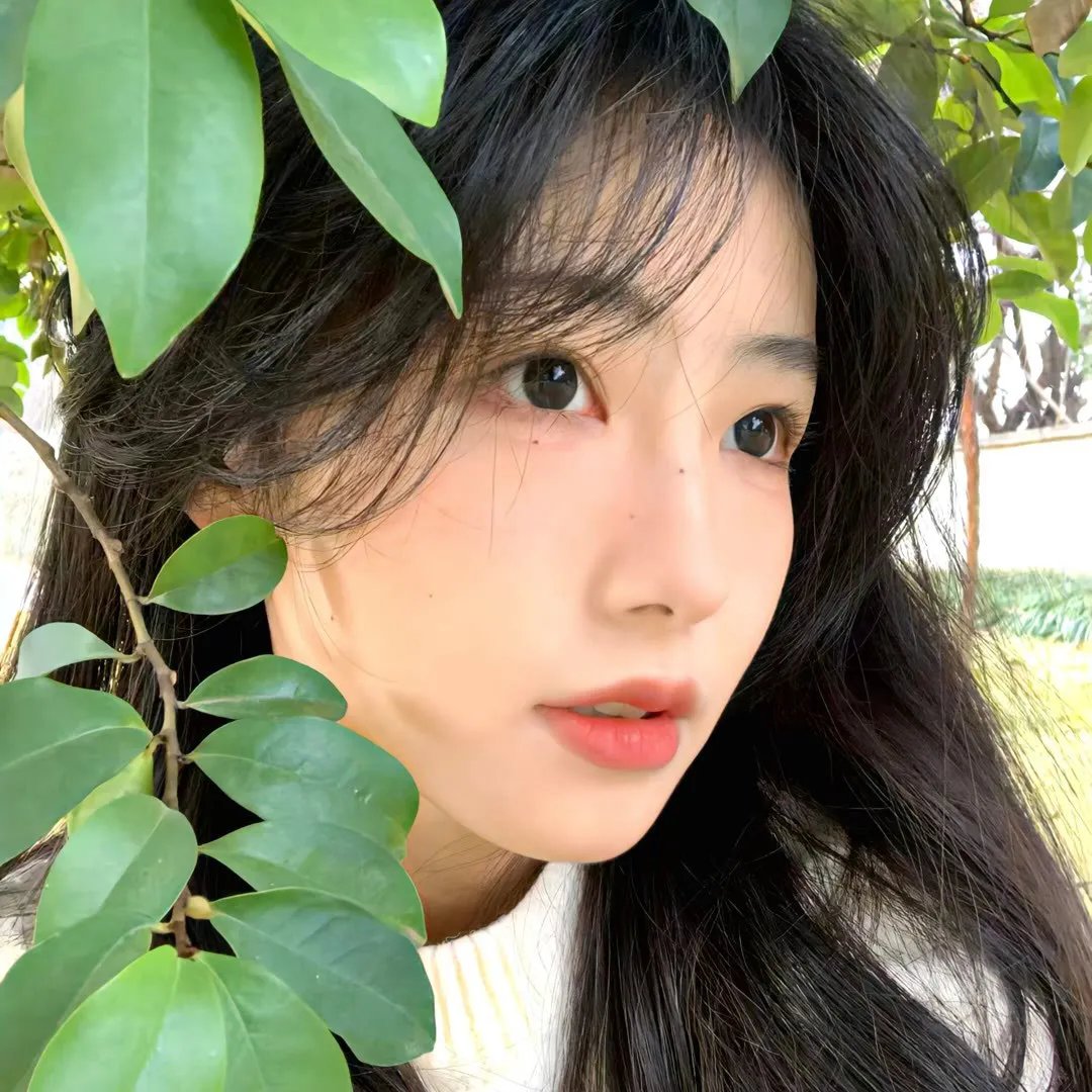 蝙蝠女侠第一季